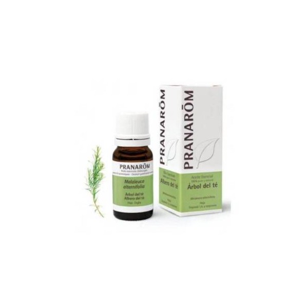 Aceite Esencial Arbol Del Te 1 Envase 10 ml
